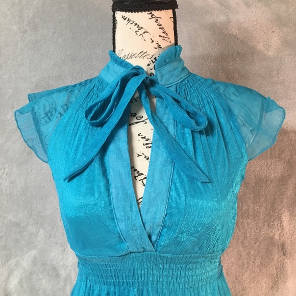 The Hanger Blue Ruffled Fit and Flare Dress Med - Picture 2 of 8